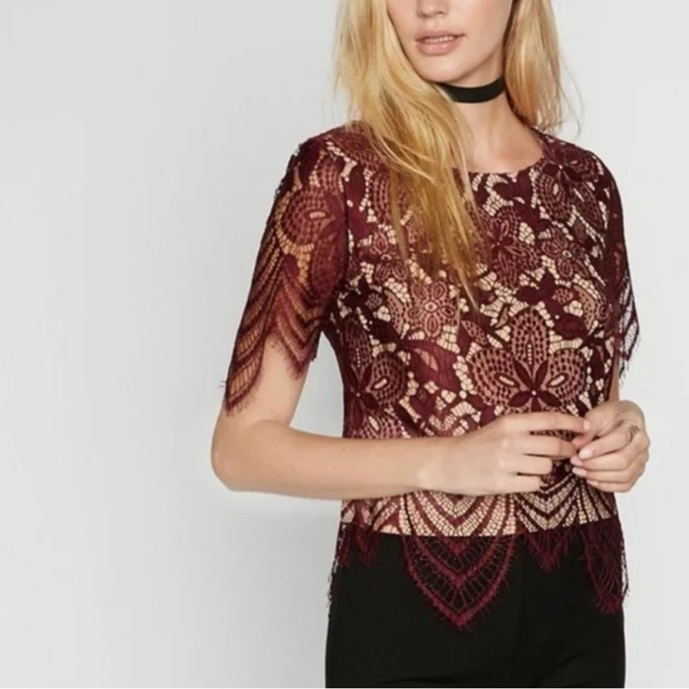 EXPRESS maroon lace short sleeve lace cropped top with nude lining Size Medium - Picture 12 of 12